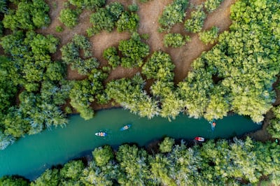 Highly commended: Journey Through the Mangroves, by Majid Obaid Saad Al Amri