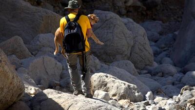 The seventh Human and K9 Ultimate Challenge is taking place on Friday, January 31 at Jebel Jais, Ras Al Khaimah. Courtesy HK9