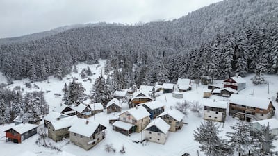 Snow-covered houses in Abant, Bolu district. EPA