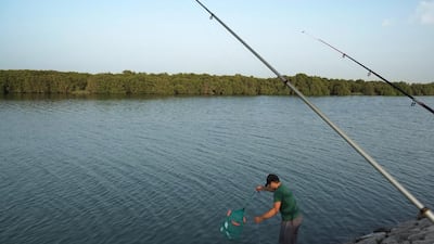 An angler empties his keepnet of fish into the waters of the Eastern Mangroves along Salam Street. Most days the banks are full of anglers enjoying their hobby and taking in the beautiful scenery. Delores Johnson / The National