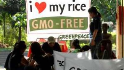 Environmental groups issue dire warnings about genetically altered food but scientists continue to claim that it is neither harmful to the environment to grow nor to the human body to eat.