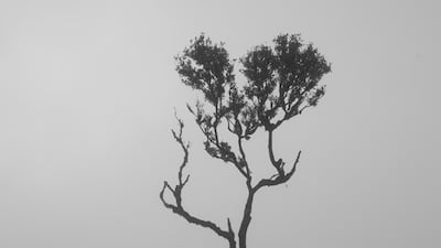 Cristina Bazar, Romania, winner, Regional Awards, Sony World Photography Awards 2023