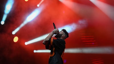 One of the world's longest-running festivals, Lollapalooza was conceptualised as an event dedicated to alternative music