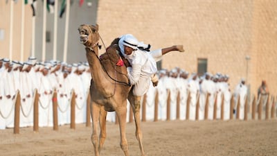 Camel riders participate in the Union March during the Sheikh Zayed Heritage Festival. Omar Al Askar / Crown Prince Court - Abu Dhabi