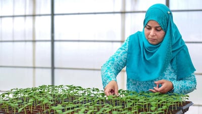 Dr Henda Al Mahmoudi, a plant biologist at the International Centre for Biosaline Agriculture. Victor Besa for The National