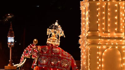 A decorated elephant carrying the sacred golden casket housing the Buddha's tooth relic walks past the historic Buddhist Temple of the Tooth, as part of celebrations to mark the Buddhist festival of Esala Perahera, in Kandy, Sri Lanka. AFP