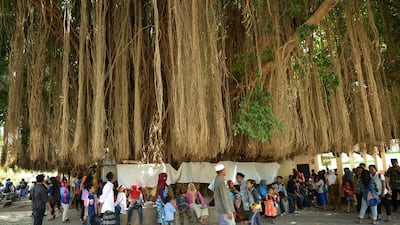 Pilgrims gather around a huge tree at a historic Islamic shrine in Loang Baloq on the island of Lombok. Sonny Tumbelaka/AFP Photo