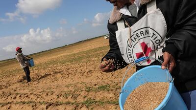 Palestinian farmers, allowed by Israel to tend their land in a buffer zone on the border between Israel and the Gaza Strip for the first time since 2006, plant seeds with the help of the International Committee of the Red Cross (ICRC) in a field on the eastern outskirts of the city of Rafah in southern Gaza on January 29, 2018. Said Khatib / AFP