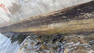 Slicks can damage marine life and the environment. Courtesy: Kalba Fishermen's Association