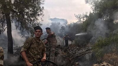 Lebanese army personnel tackle the forest fire. Image @LebarmyOfficial via Twitter