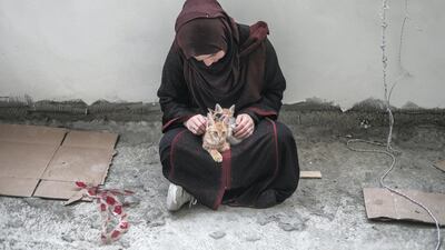 After they are treated by a vet and nursed to full health, Strays for Gaza offers them up for adoption on Facebook and on Instagram, where they have about 3,000 followers. Photo by Majd Mahmoud