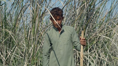 A still from Kuwaiti Puerto-Rician artist Alia Farid's film Chibayish. Photo: Alia Farid