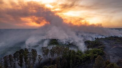 The Amazon could be reaching an irreversible tipping point beyond which it will decline until 'we're just left with scrub', conservationists have warned. WWF