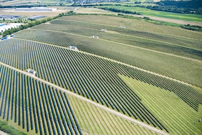 A solar cell power plant in Germany. Investment in renewables, electric vehicles and sustainable sectors would bring about a green jobs boom. Getty Images