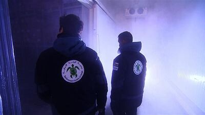 *** Local Caption *** On13de-Turtles.jpg