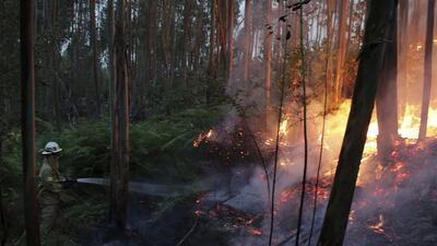 Firefighters of the Portuguese National Republican Guard work to stop the forest fire from reaching the village of Avelar, central Portugal. Armando Franca / AP Photo
