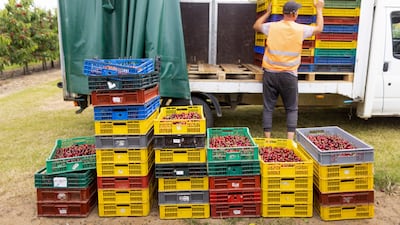 The visa could potentially help fill vacancies in the agricultural, fishing and hospitality sectors. Bloomberg