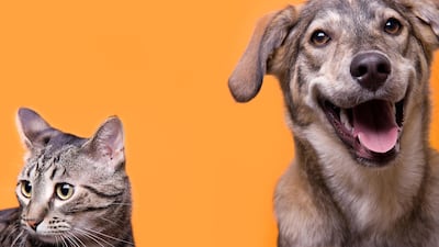 Luna, Bella, Charlie and Max top the list of the most popular pet names.