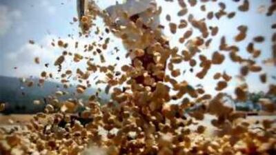 Higher demand and market forces have pushed up arabica coffee futures to US$186 (Dh683) per 60kg bag yesterday.