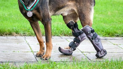 Pinned down by grenade and machine-gun fire from an insurgent, the assault force was unable to move without taking casualties. Without hesitation, Kuno charged through a hail of gunfire to tackle the gunman, breaking the deadlock and changing the course of the attack, allowing the mission to be completed successfully. Courtesy PDSA