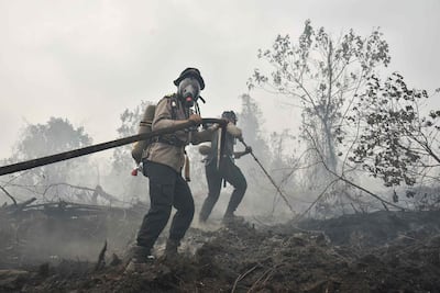 Police in firefighting gear extinguish a peatland fire at Tambang in Kampar, Riau province, in August. AFP