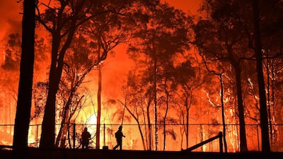 Volunteers and NSW Fire and Rescue officers protect the Colo Heights Public School from being hit by bushfires near Colo Heights south west of Sydney. EPA