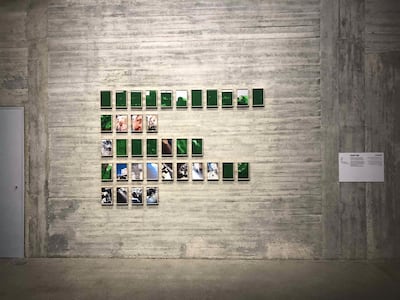 'Disruptions' (2017) is a series of screenshots taken during WhatsApp video calls to Gaza disrupted by incidences of conflict. Taysir Batniji and Sfeir-Semler Gallery