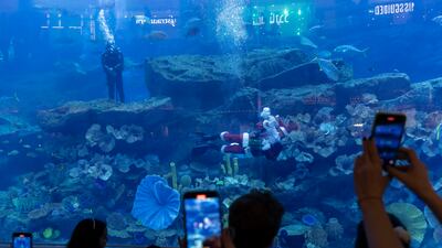 Santa could easily be spotted in the aquarium tank within The Dubai Mall.