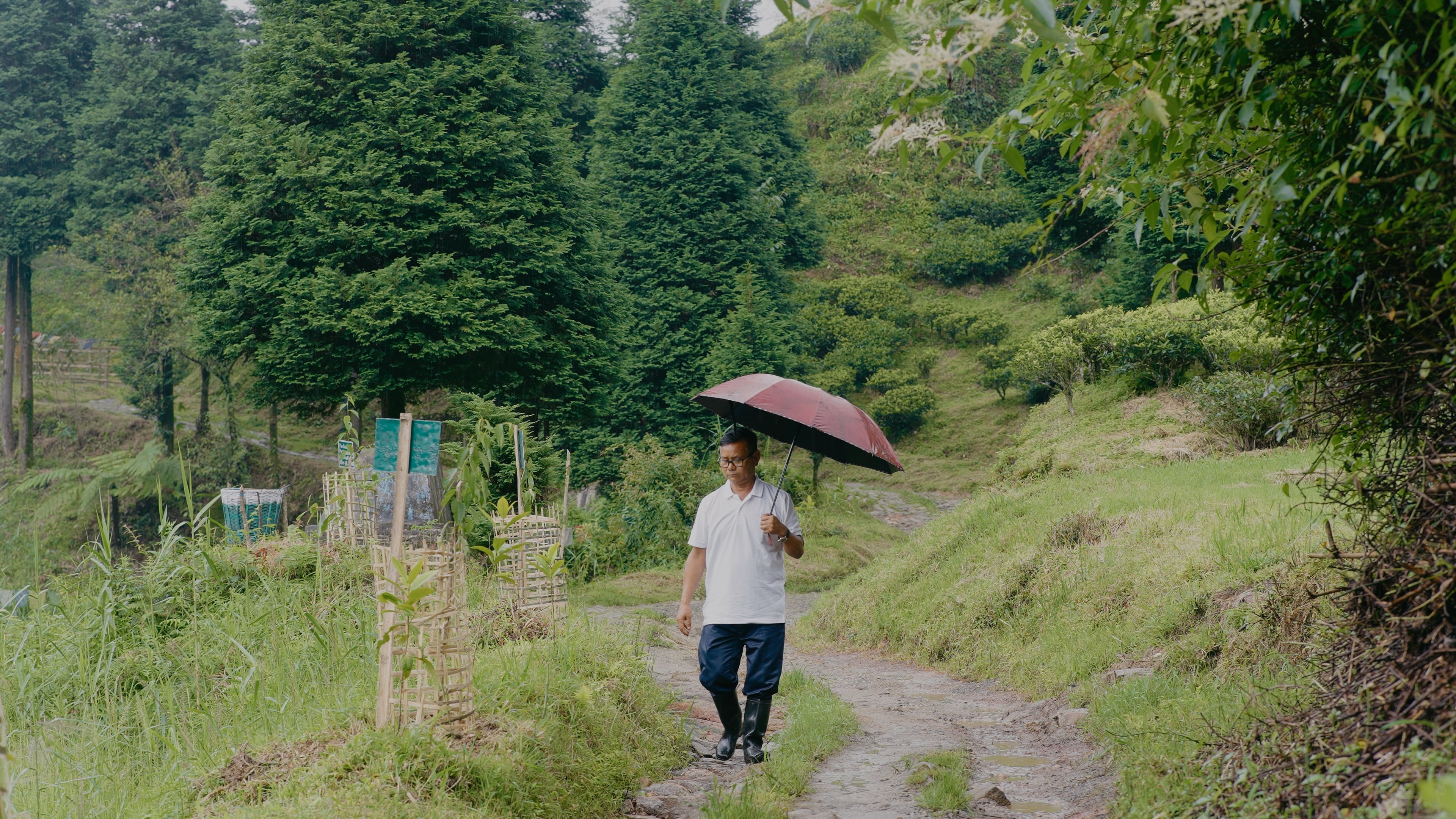 Ramesh Rai is the munshi of Margaret's Hope tea estate. Photo: Rahul Shankar