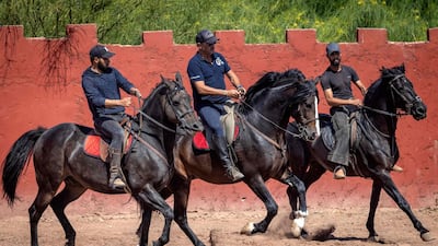 Stallions hopefully destined for film sets in Morocco. Coronavirus restrictions have hit the industry hard. AFP