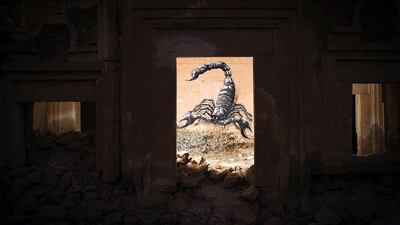 A mural by Belgian artist Roa. Joel Saget / AFP Photo