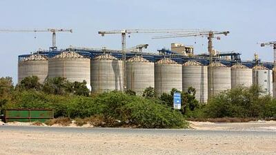The UAE is working with companies such as Al Dahra and Agthia on creating strategic food reserves. Above, grain silos in Fujairah. Pawan Singh / The National