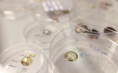 A prototype of the contact lens. Chris Whiteoak / The National