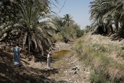Buffalo herders walk on the dried riverbed of part of Al Shallal River on the outskirts of Najaf, Iraq. Reuters