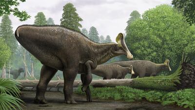 An artist's impression of the wounded Amurosaurus riabinini grazing in the ancient forests of eastern Russia. PA
