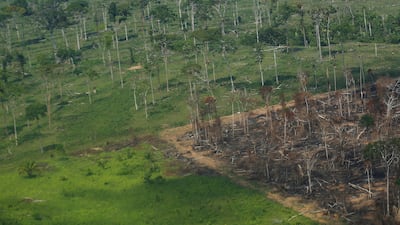 The Amazon rainforest has been hit by a record level of deforestation last month, research suggests.