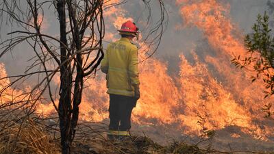 A New South Wales Rural Fire Service firefighter back burning on Long Gully Road in the northern New South Wales town of Drake, Australia. EPA
