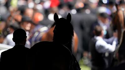 A runner enters the parade ring on day four of Royal Ascot at Ascot Racecourse in Ascot, England. Getty Images