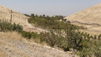The pomegranate is seen as something of a national symbol in Iraq's Kurdish region - much like the olives in Palestine and cedar trees in Lebanon.