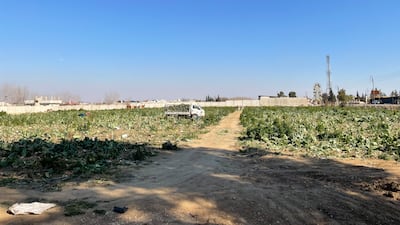 The Ghouta comprises built-up areas and farmland