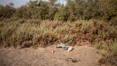 Empty plastic bottles lay as memento of trespassers at the mangroves near the East Road. (Silvia Razgova/The National)