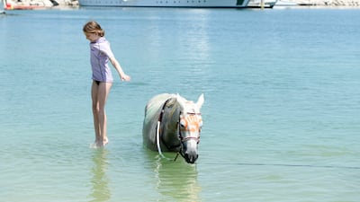A child jumps off one of the horses into the calm sea