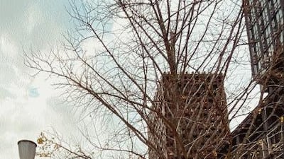 The Dubai royal also posted a close-up of autumnal leaves. Instagram / faz3