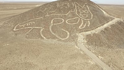 The geoglyph measures 37 metres from head to tail. AFP