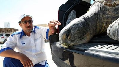 Major Ali al Suweidi with a sick turtle at the Ghantoot Reserve, near Jebel Ali. "Anyone can become a green hero," he says.