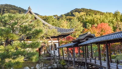 The nearby temple garden is laden with maple trees.