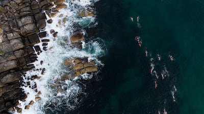 Swimmers take part in the daily 1.5km journey from Manly Beach to Shelly Beach in Sydney, Australia, an event that began in 2008. Getty Images