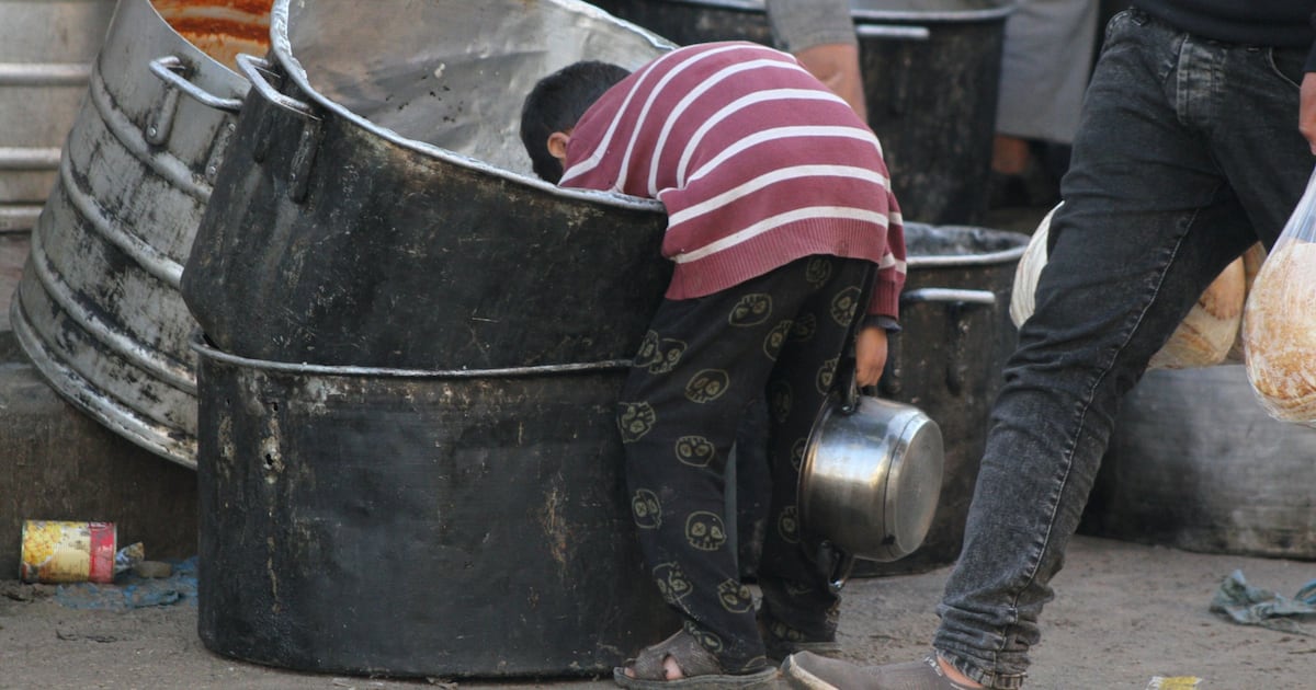 Thread Hunger Hunger is an immoral accompaniment to war | The National