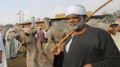 A herdsman with a camel.