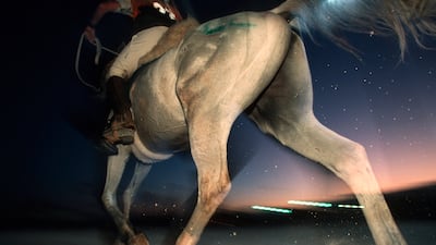 The country is set to host the event again next year, at Abu Dhabi's Butheeb stables